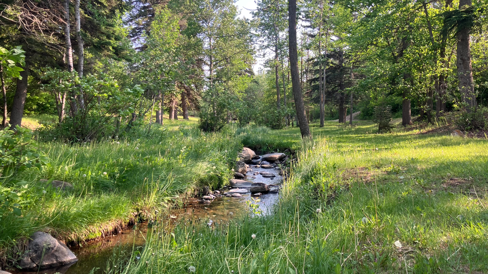 You Don’t Need a Contractor: You Need a System - A spring creek at Wellington Park, Manitou Beach, SK